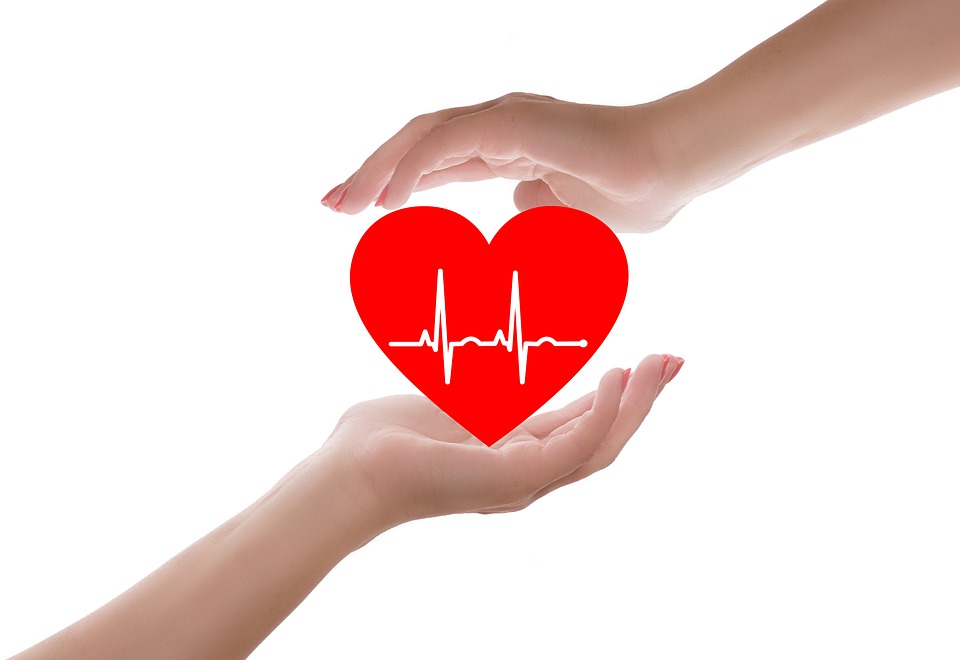 Hands holding heart with EKG inside image