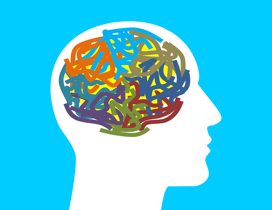 brain