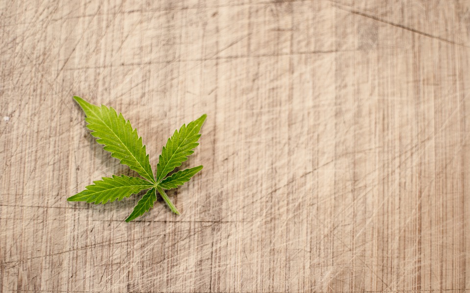 Pot Leaf Image