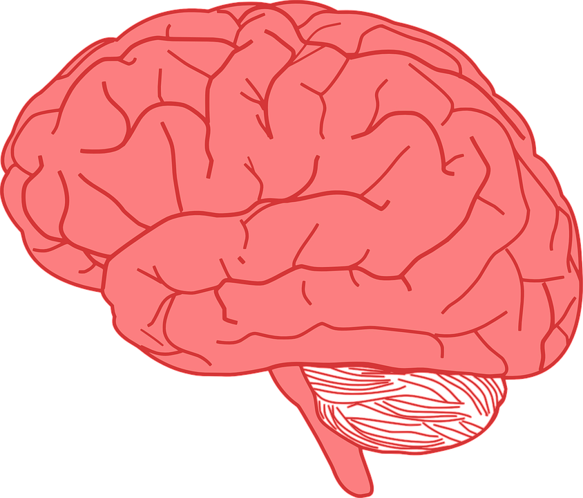 Brain Image